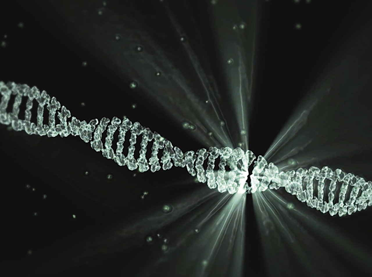 dna, project lumina, walter waymann, dna, dna, dna, dna, dna